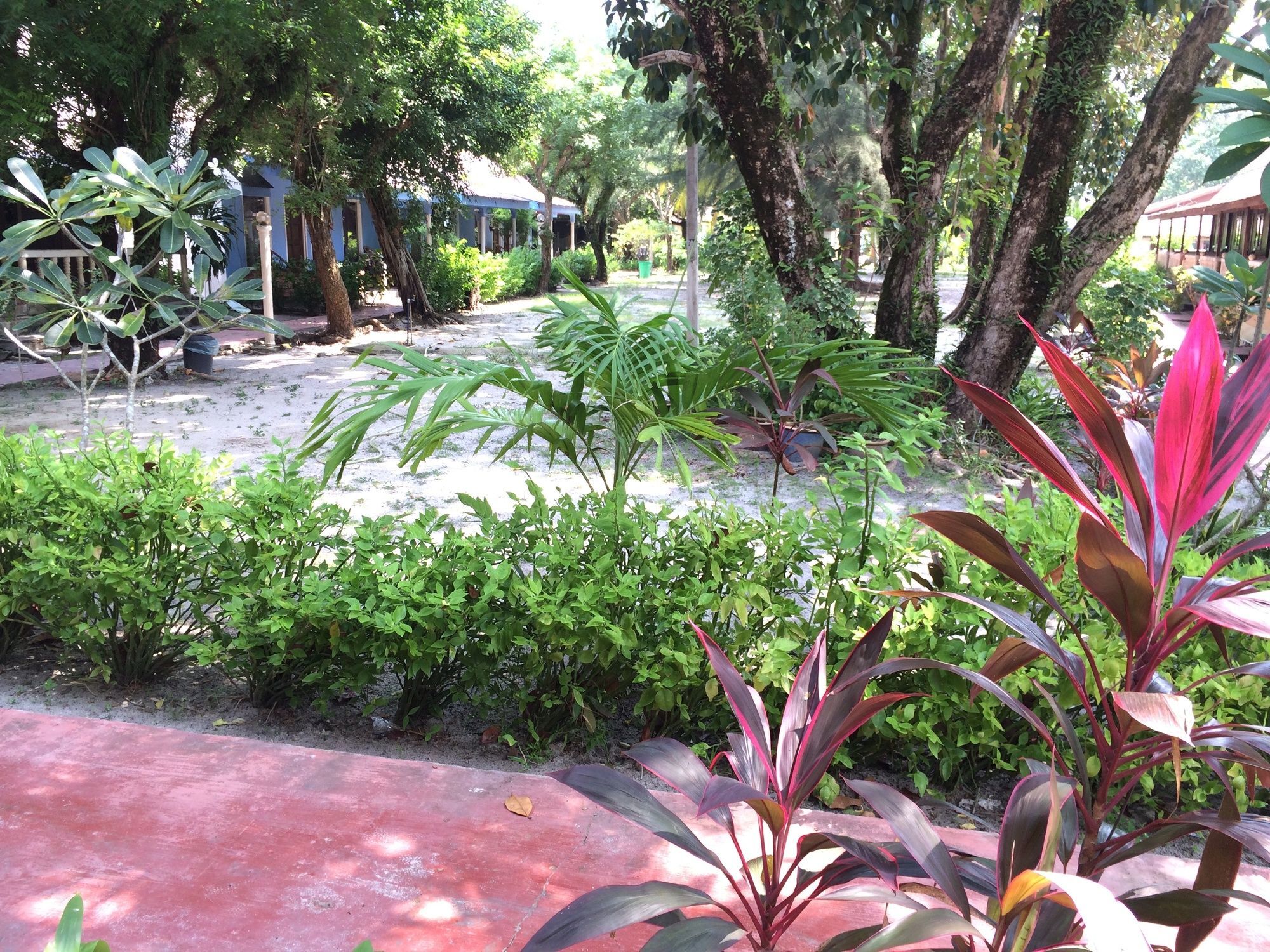Corrie Chalet, Pantai Cenang  Dış mekan fotoğraf